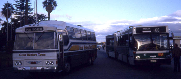 Transperth MAN SG292H Bolton 37